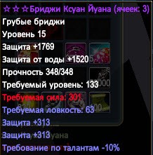 бриджи 313-10.jpg