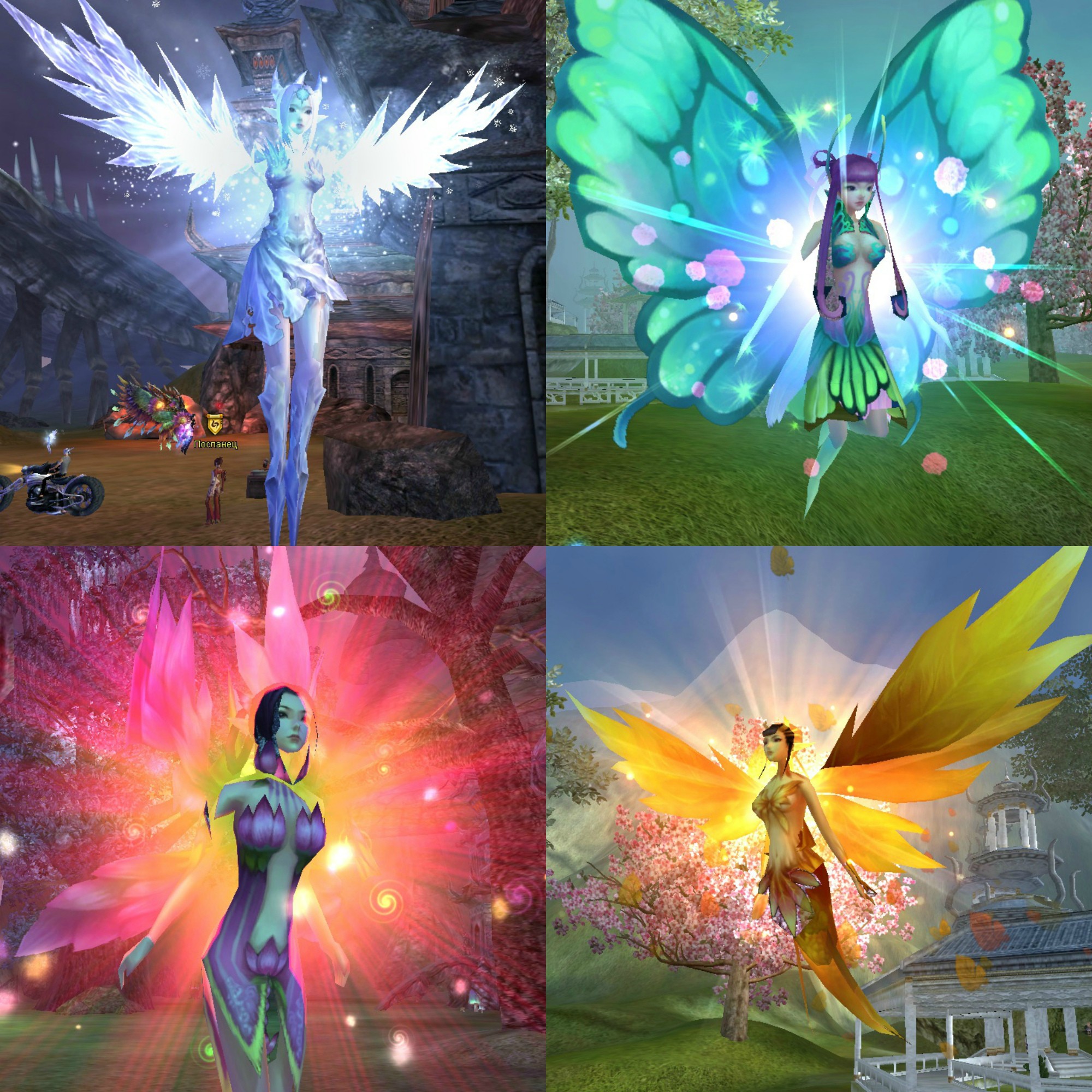 новый коллаж.jpg