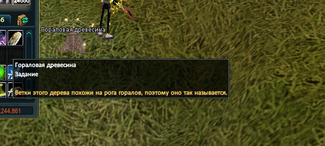 2017-11-19 10-52-06.jpg