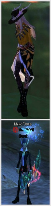 новый коллаж.jpg