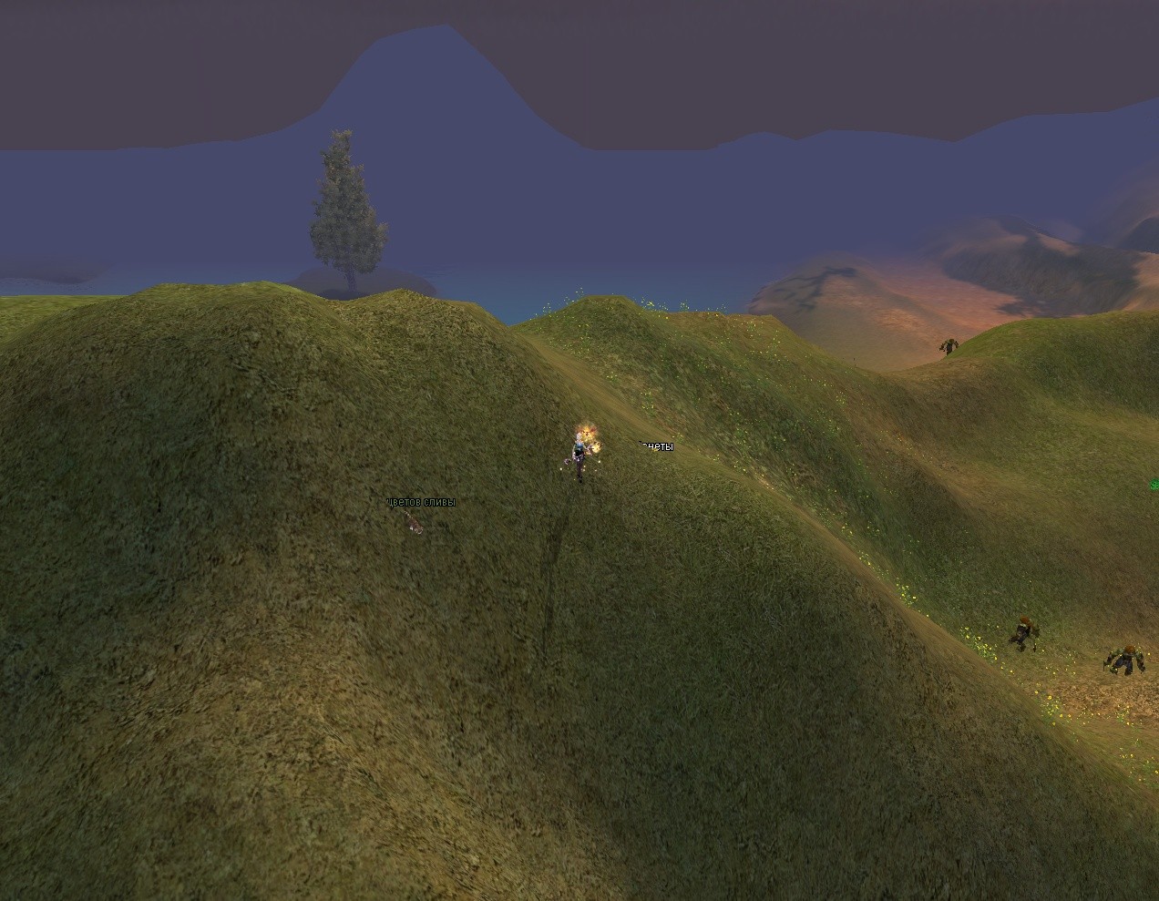 2018-11-22 13-12-17.jpg