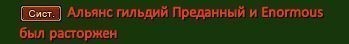 альянс енормоус.JPG