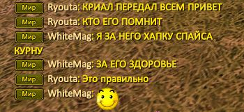 привет крилу.JPG