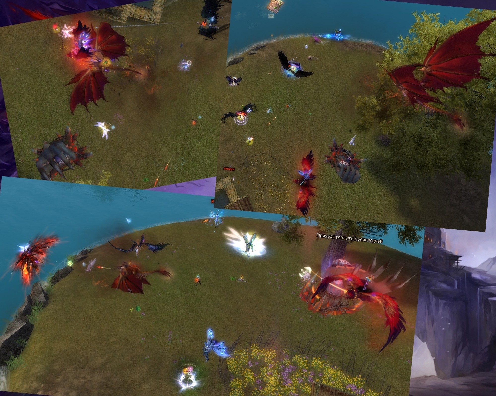 ПКа на РБ.jpg