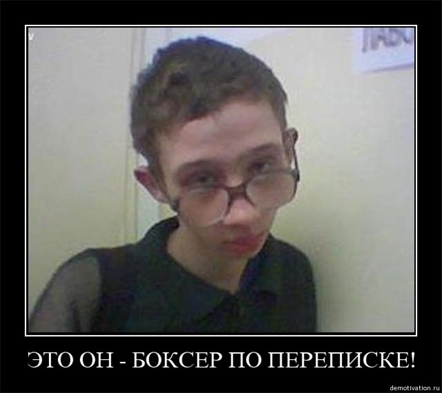 83125925_1328265847_Bokser_po_perepiske.jpg