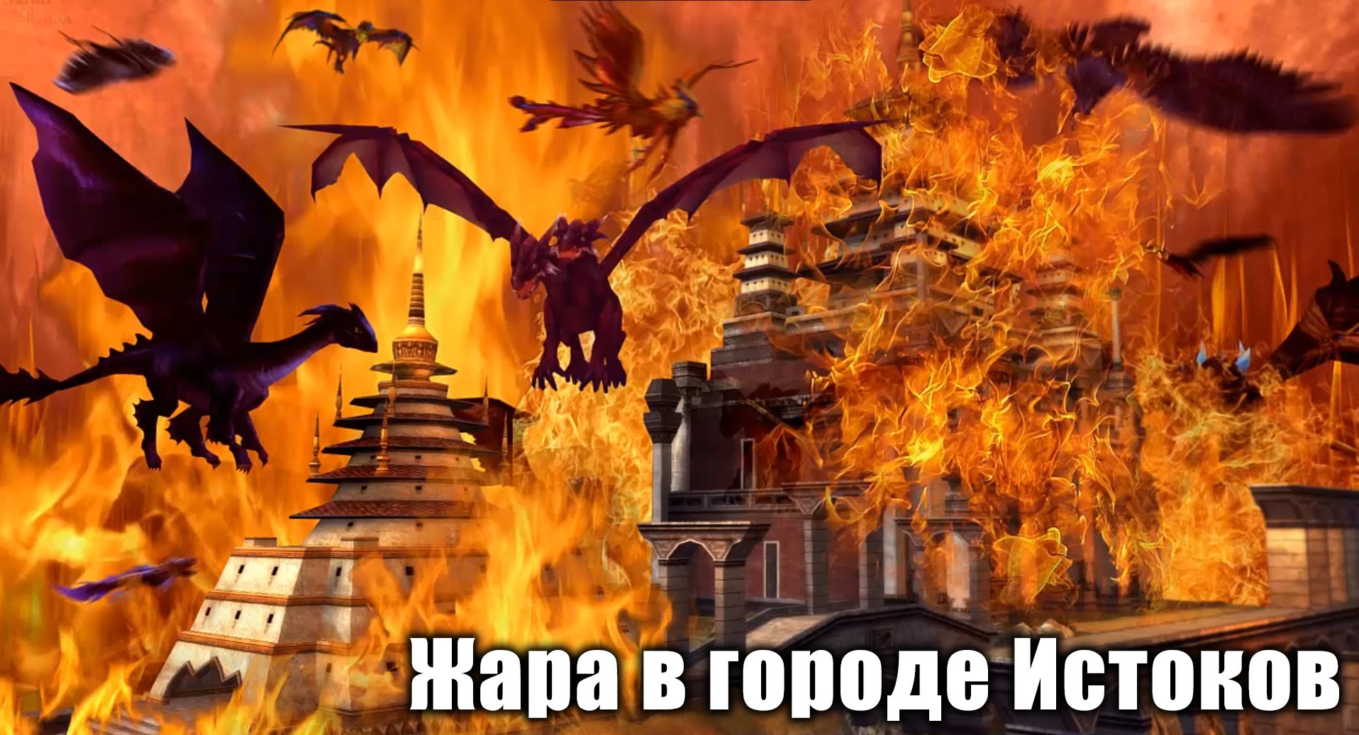 Без имени-1111.jpg