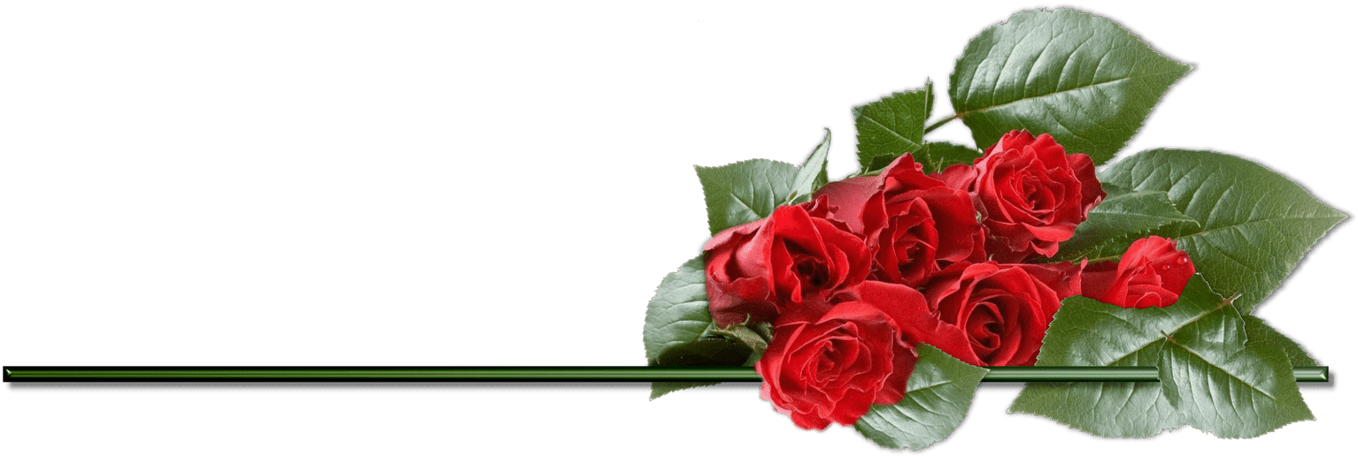 + 552-5528143_clip-art-roses.png