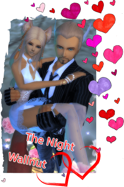 Найт и Вэллнат.png