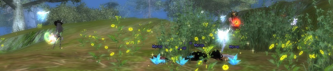 2021-07-17 02-26-55.jpg