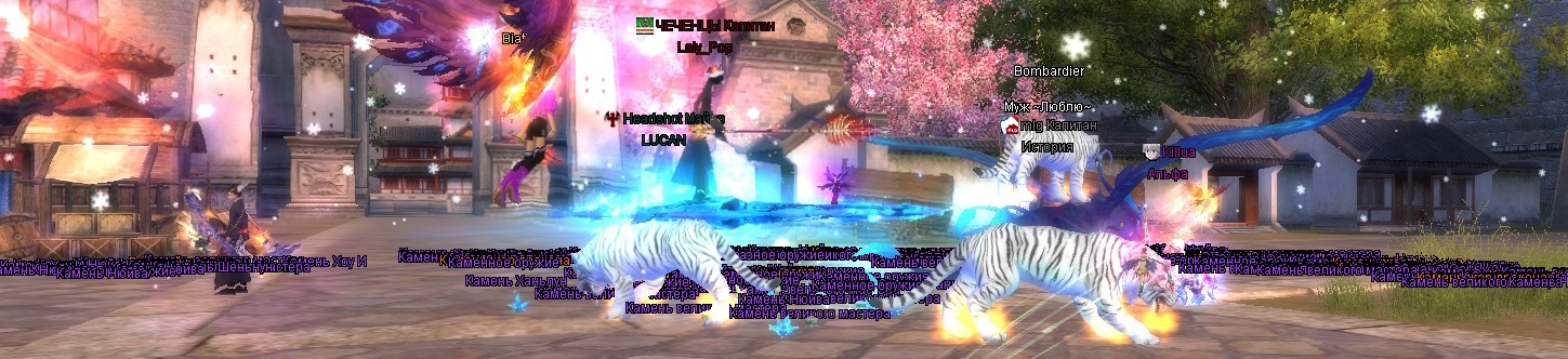 2021-12-31 12-56-17.jpg