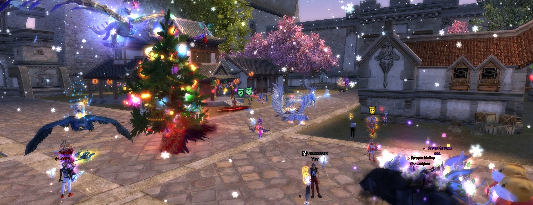 2021-12-31 16-10-07.jpg