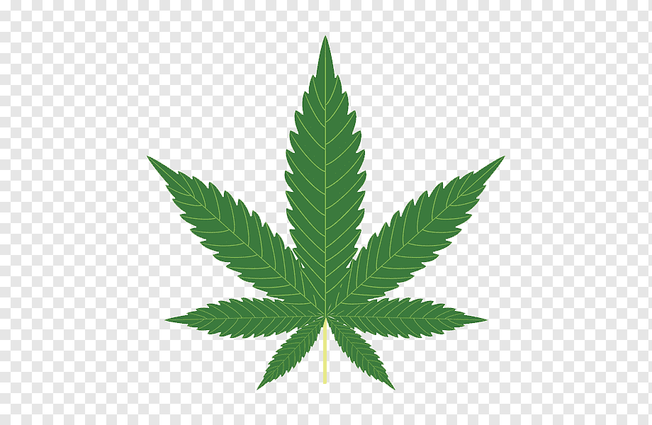 png-transparent-cannabis-sativa-hemp-legalization-cannabis-leaf-hemp-family-avatan-plus.png