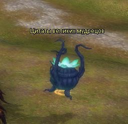 котел цитат.JPG