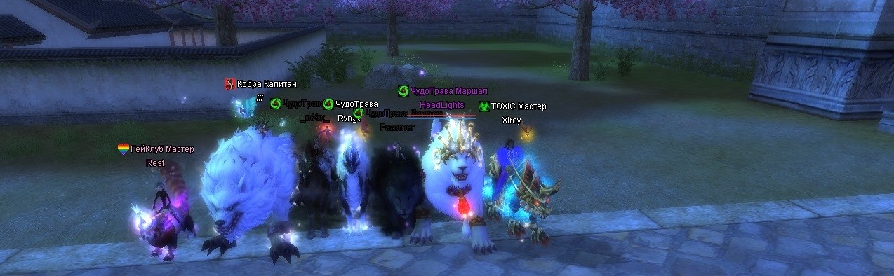 2023-09-12 12-24-48.jpg