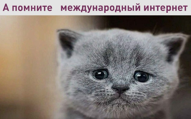 gRRwjf2GtNv-UH2S9fz52Y0FQj65VGG24xISKa-701XsRR8e7GyX-lSiKI7REAFvSYURp-N1u72reGgQ-rRaCicR.jpg